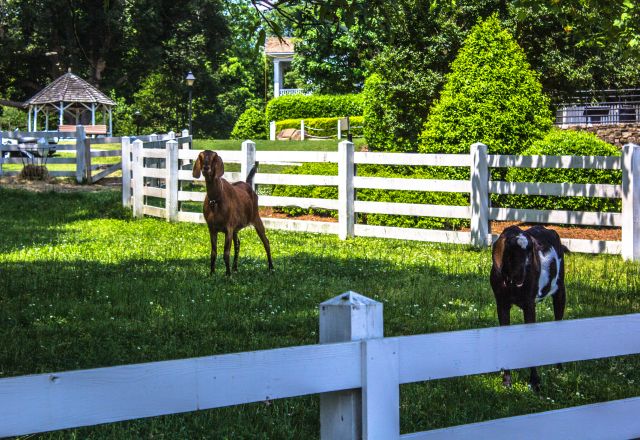 Historic Oak View 05-202.jpg