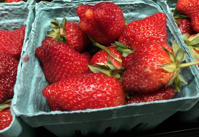 Standard Foods 41-225.jpg