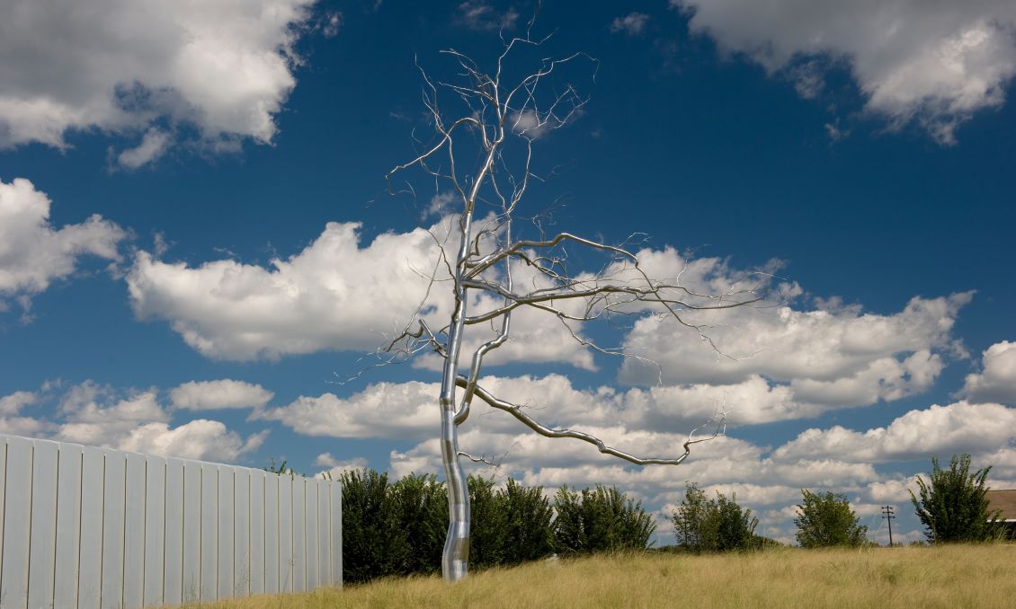Image Of A Fence and Tree From NC Museum Art