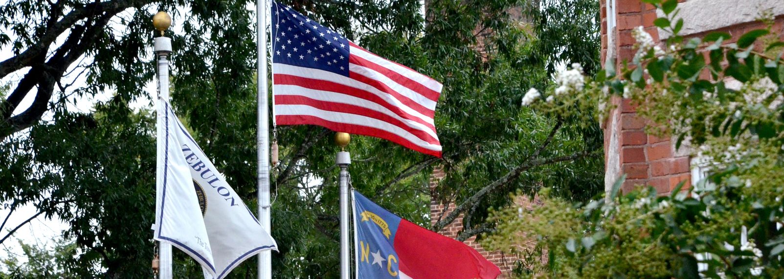 Copy of Zebulon 06-232.jpg