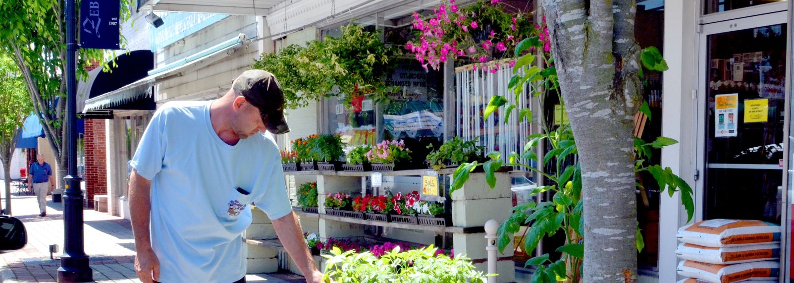 Copy of Zebulon-231.jpg