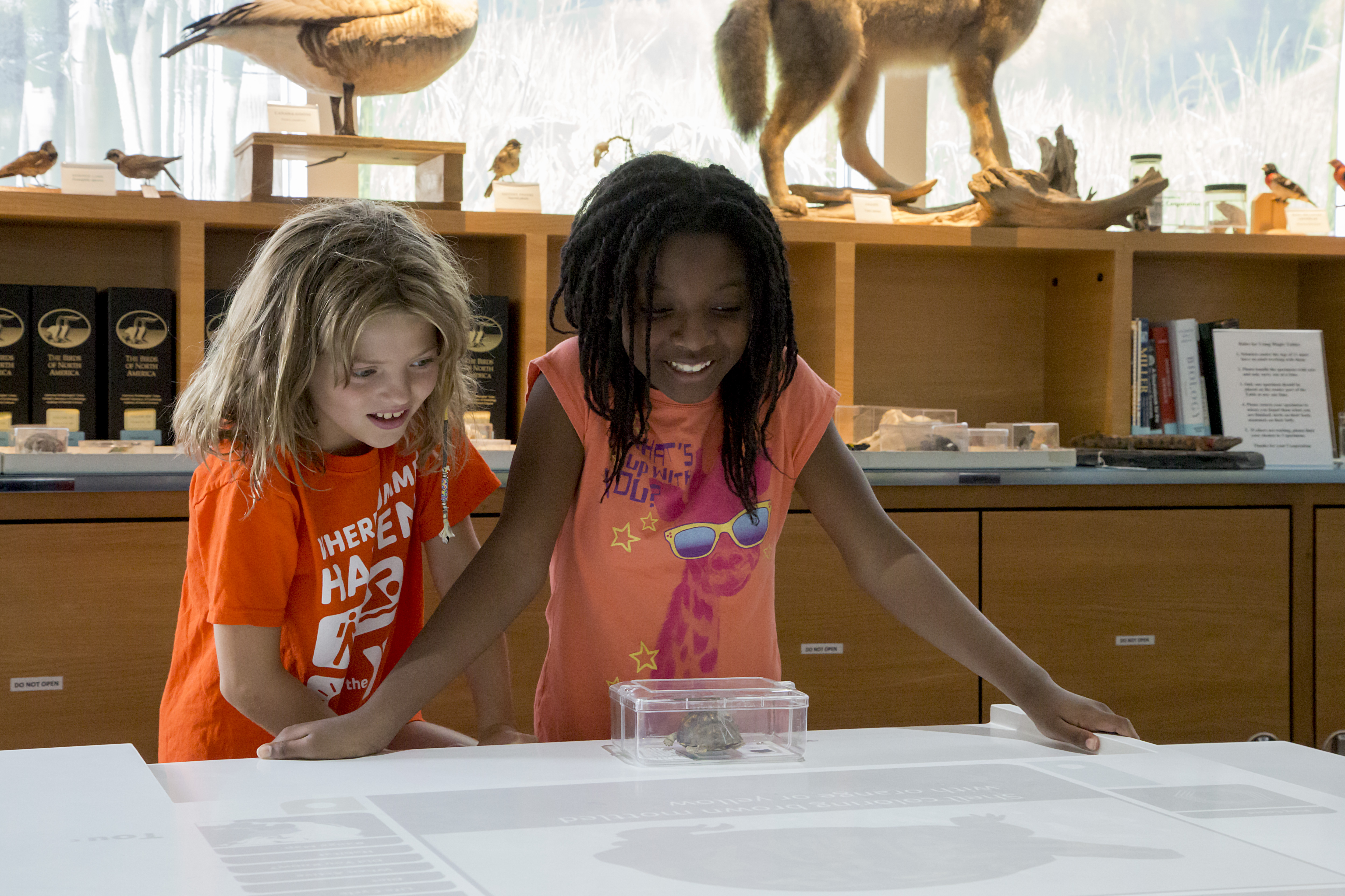 North Carolina Museum of Natural Sciences