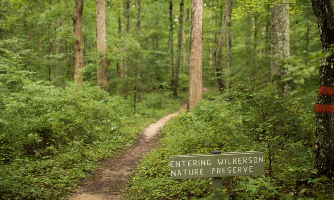 Wilkerson Nature Preserve (open graph)